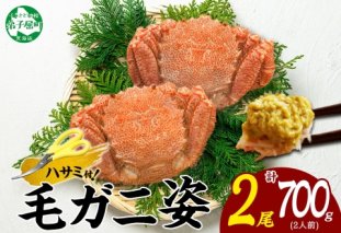 3334.毛蟹 2尾 計700g前後 食べ方ガイド・専用ハサミ付 カニ かに 蟹 海鮮 ボイル 送料無料 北海道 弟子屈町