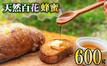 天然百花蜂蜜 600g