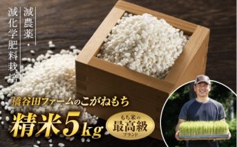 令和3年産 減農薬・減化学肥料栽培 もち米 こがねもち 5kg 精米