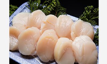 オホーツク海無添加刺身帆立1kg【ふるさと納税】14011-30025009