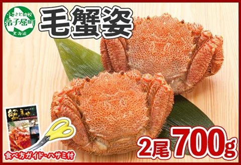 1262.毛蟹 2尾 計700g前後 食べ方ガイド・専用ハサミ付 カニ かに 蟹