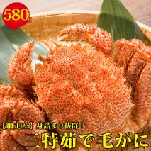 身詰まり抜群！三特茹で毛がに 約580g×1尾 ＜網走産＞ 毛ガニ 北海道