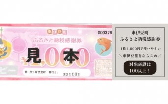 東伊豆町 ふるさと納税 感謝券 27000円 1074 ／ 静岡県 旅行 宿泊 食事 観光 チケット クーポン 補助 リフォーム ホテル 動物園 海鮮 みかん 金目鯛 稲取 熱川 ギフト 土産