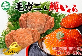 3436. 毛蟹 2尾 計700g前後 鱒いくら醤油漬け 200g 専用ハサミ・食べ方ガイド付き 毛ガニ 毛がに 蟹 カニ  鱒いくら いくら 醤油漬け ボイル 北海道 弟子屈町