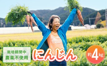 日本を平和にする人参 Peace&Carrots 約４㎏セット 人参 約4kg 栽培期間中 農薬不使用 にんじん ニンジン 野菜 カロテン 食物繊維 栽培期間中農薬不使用