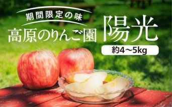 愛媛県久万高原町産「陽光りんご」約4～5kg