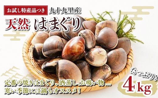 お試し特産品つき】九十九里産 大粒 天然はまぐり4.0kg ふるさと納税 はまぐり ハマグリ 蛤 4.0kg 特産品 天然 千葉県 九十九里産 砂ぬき  送料無料 焼きはま 網焼き 酒蒸し お吸い物 お祝い パエリア 和食 活はまぐり 川喜屋水産蛤 天然 節句 ひな祭り ひなまつり 手土産 ...