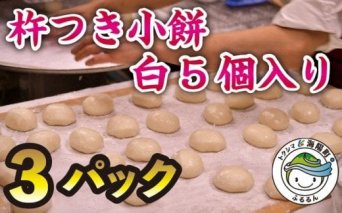 銘菓 山田宝来堂の杵つき小餅 15個（白5個入り×3パック）
