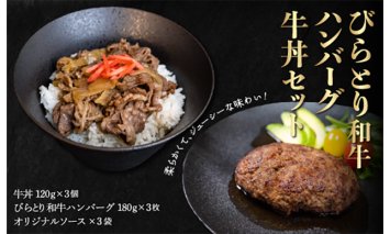 びらとり和牛ハンバーグ180ｇ3枚・牛丼120ｇ3個セット　オリジナルソース付 BRTB032