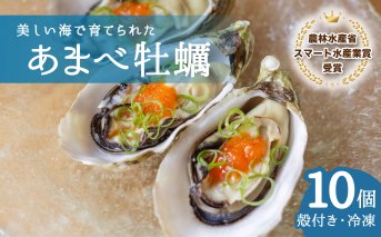 あまべ牡蠣 冷凍 10個 約600g 牡蠣 シングルシード 生食用 殻付き かき カキ オイスター 生ガキ 生牡蠣 生がき 生かき