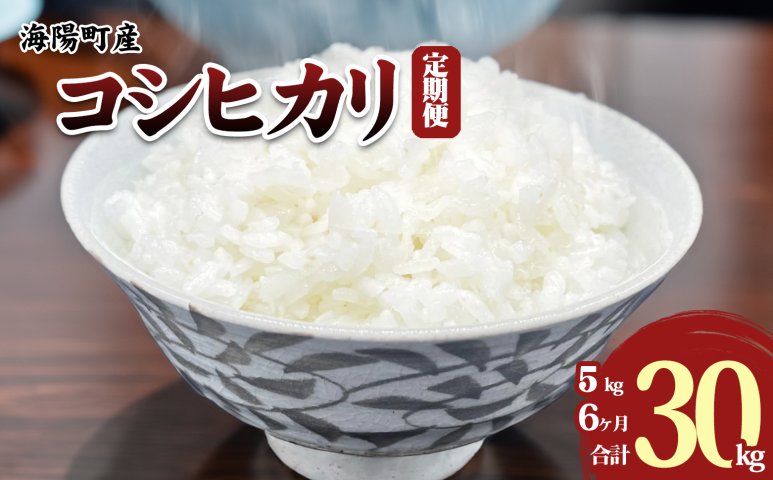 定期便６か月連続】 新米 コシヒカリ 5kg×6回 30kg 海陽町産 こしひかり 米 お米 令和6年 定期便 6ヶ月 連続 海陽町産 コシヒカリ  5kg 6回 | クチコミで探すならふるさと納税ニッポン！