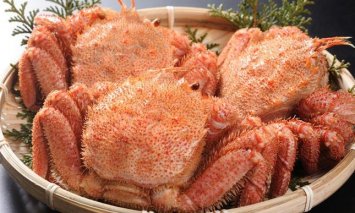 三特茹で毛がに　約５８０g×３尾＜網走産＞■