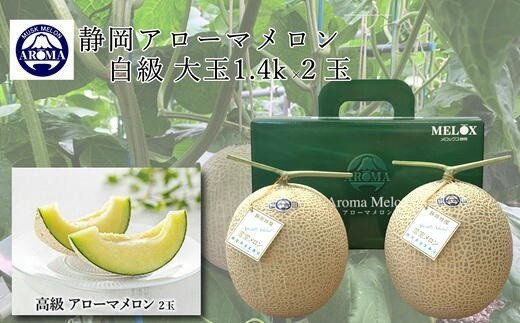 5高知県産 高級 温室 マスクメロン 2玉 大玉 メロン