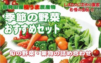 C31 季節の野菜おすすめセット