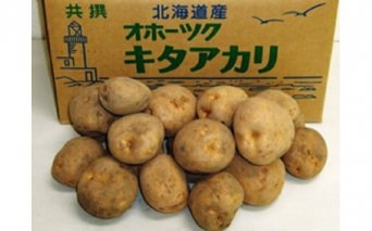 小清水町産キタアカリ　10kg【01003b】