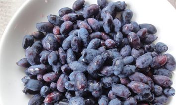 網走産ハスカップ1kｇ(未洗浄冷凍）