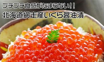 北海道 網走産 冷凍いくら醤油漬 500g【ふるさと納税】■