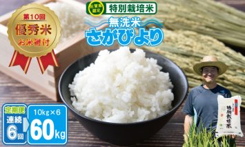 Q123-001【定期便】連続６回 佐賀県認定 特別栽培米 「農薬：栽培期間中不使用」さがびより 無洗米 60kg（10kg×6 ）しもむら農園