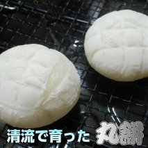 丸餅約2kg(48個)1個約40g～45g【無添加】【つき餅】お祝い お供え 自宅用 ※着日指定不可 ※離島への配送不可