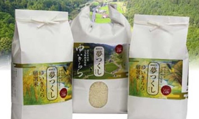 89％以上節約 農家直送 夢つくし 約450g 3合分 送料無料 お
