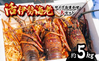 先行予約 伊勢海老 活伊勢海老 約5kg サイズおまかせ 伊勢えび 伊勢エビ いせえび イセエビ 海老 えび エビ 【2025年4月以降発送】