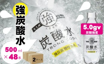 B135-021 強炭酸水ストロングウォーター（500ml）24本×2ケース