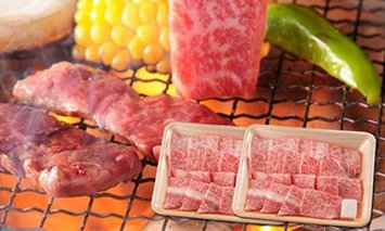 飛騨牛 焼肉用ロース1kg（500ｇ×2）