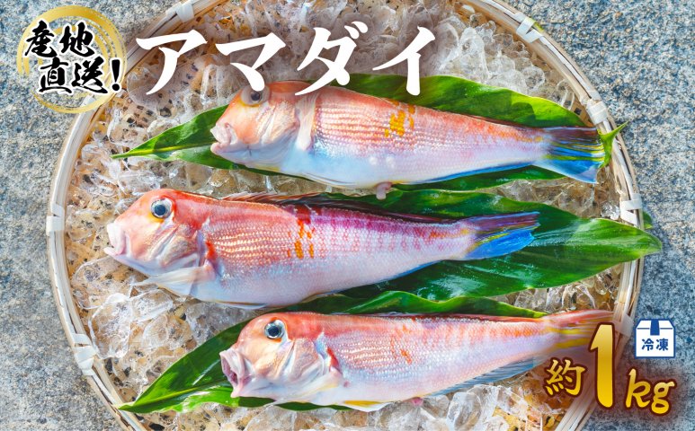 松笠揚げ　うろこ付き　エラ内臓除去　約1kg　あまだい　冷凍　下処理後約900g　水揚げ時重量約1kg　アマダイ　甘鯛　下処理済み　クチコミで探すならふるさと納税ニッポン！