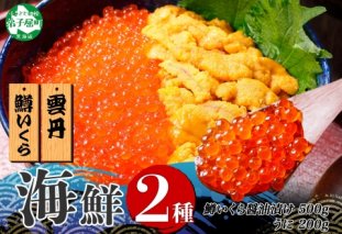 3402. 2種 海鮮丼 鱒 いくら醤油漬け 100g×5 約5-6人前 ウニ チリ産 雲丹 うに 100g×2 セット いくら イクラ いくら醤油 魚卵 ます マス 海鮮 送料無料 北海道 弟子屈町