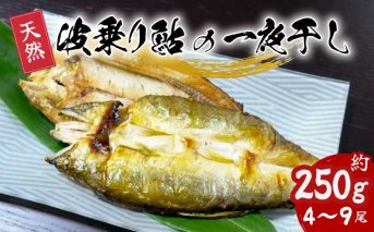 天然波乗り鮎の一夜干し 約250g 4～9尾 干物 一夜干し 鮎 天然 熟成 あゆ アユ 天然鮎 清流 海部川 川魚 簡単調理 冷凍