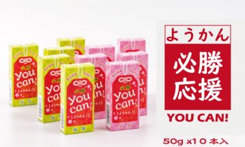 A065-005 you can! ようかん10本入