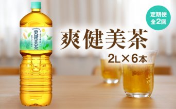 『定期便：全2回』爽健美茶2L×6本【38001901】