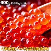 ＜網走産＞いくら醤油漬(鮭卵)600g（200g×3）≪北海道 国産 鮭卵 醤油漬け 小分け≫ ※着日指定不可◇