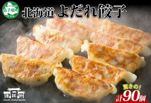 1813. よだれ餃子 10個入 9パック 計90個 生 餃子 ぎょうざ ギョウザ ギョーザ 冷凍 中華 豚 肉 野菜 厚皮 焼き 惣菜 お取り寄せ 昇龍軒 送料無料 北海道 弟子屈町 30000円