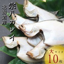 【リピーター続出！】北海道産 宗八かれい 大サイズ10枚(約2kg) カレイ 一夜干し 漁師直送 干物 煮付け 塩焼き 唐揚げ 海鮮 せたな町 ふるさと納税