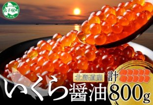 3347. いくら醤油 80g×10個 いくら醤油漬け イクラしょうゆ漬け いくら イクラ 海鮮 魚介 魚卵 送料無料 北海道 弟子屈町