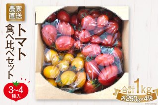 新鮮 採れたて トマト 食べ比べセット 1kg（250g×4袋）/ マルヨシ園芸 / 山梨県 中央市