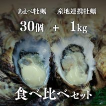 あまべ牡蠣 30個 ＆ 産地連携牡蠣 約1kg 合計2.8kg 食べ比べセット 生食用 牡蠣 殻付き シングルシード かき カキ オイスター 生ガキ 生牡蠣 生がき