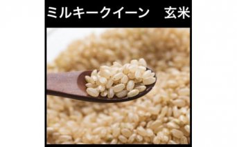 新米【令和6年産】ミルキークイーン 玄米 3kg 玄米といえば！茨城県産 ブランド米 [1074]