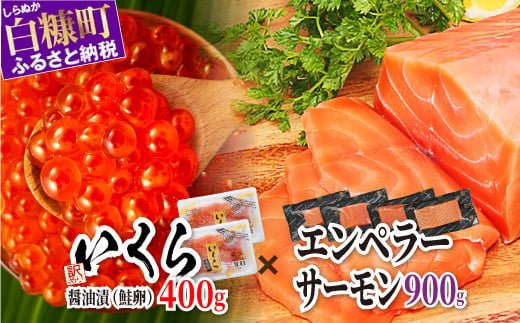 2024年5月末までにお届け※「【訳あり】いくら醤油漬（鮭卵）400g（200g