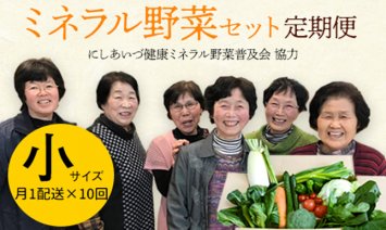 西会津ミネラル野菜セット定期便（小）10回