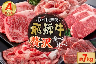 『飛騨牛』贅沢食べ比べセットA 定期便※5回に分けてのお届けとなります。（サーロインステーキ1,360ｇ・ロースすき焼き用1,500ｇ・ロースしゃぶしゃぶ用1,500ｇ・ロース焼肉用1,500ｇ・ヒレステーキ1,200ｇ）【0016-099】