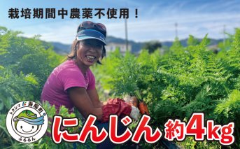 日本を平和にする人参 Peace&Carrots 約４㎏セット 人参 約4kg 栽培期間中 農薬不使用 にんじん ニンジン 野菜 カロテン 食物繊維 栽培期間中農薬不使用