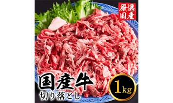 010AA08N.いちかわ精肉店「国産牛切り落とし」１ｋｇ
