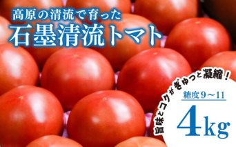 トマト4kg 贈答にもおすすめ そのままでも 美味しい 【石墨清流トマト】糖度9～11度 久万高原町 ｜ トマト ヒナタ ジュース 自然栽培 野菜 酸味 甘味 清流 料理 農園 旨み 栄養たっぷり ※離島への配送不可 ※2025年7月下旬頃より順次発送予定