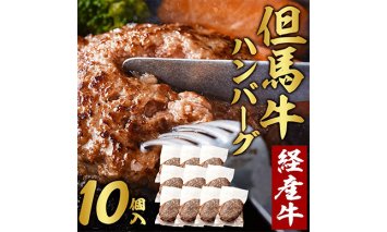 020AA09N.但馬牛経産牛ハンバーグ（150g×10個）