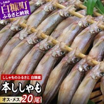 しらぬか産 本ししゃも 【数量限定】【計20尾】_A015-1019