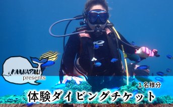 徳島最南端の海で体験ダイビング！（１ボート）