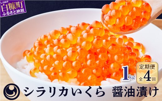 年4回!シラリカいくら(醤油味)定期便【1kg(250g×4)×4回】_K196-1044 | クチコミで探すならふるさと納税ニッポン！