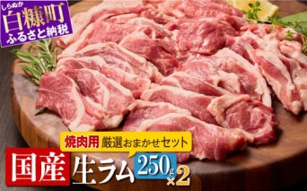 焼肉用ラム肉スライス【250g×2パック、オリジナルスパイス10g】_I017-0442